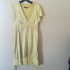 Silky BCBG Dress